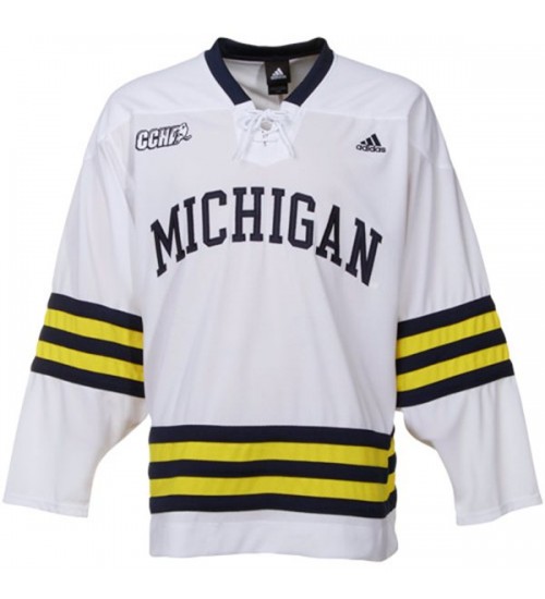 Custom 09-10 Dylan Larkin 19 Michigan Wolverines Home Hokcey Jersey White